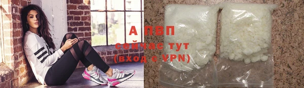 сатива Абинск