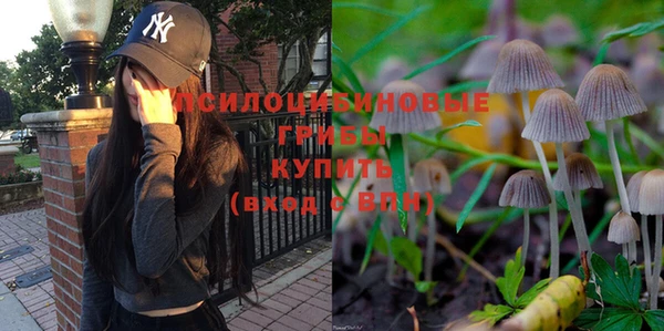 тгк Абдулино