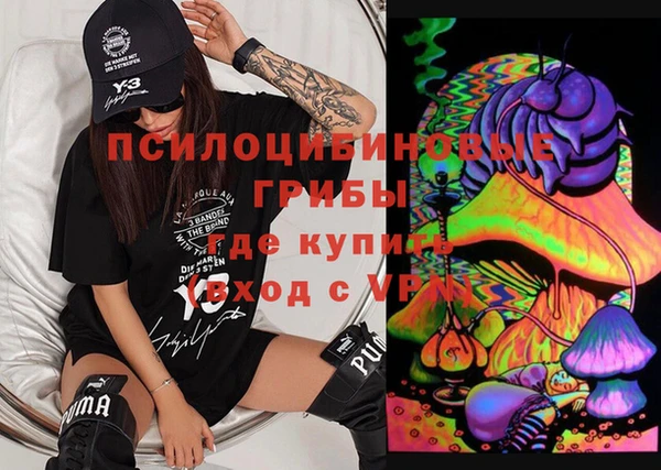 сатива Абинск