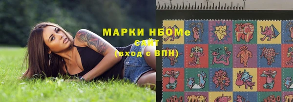 сатива Абинск