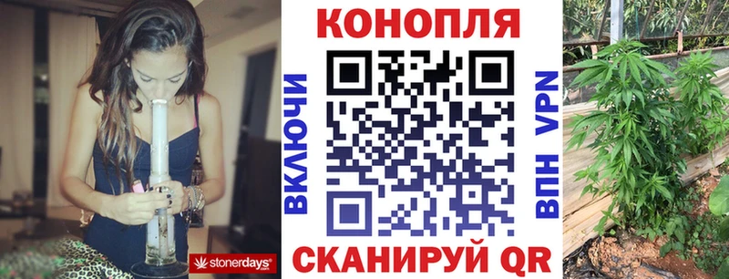 Каннабис OG Kush  Назрань 